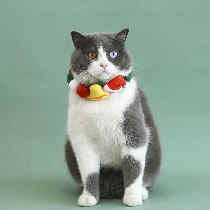 Christmas Pet Gift