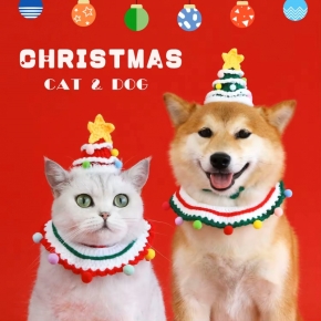 Christmas Pet Gift