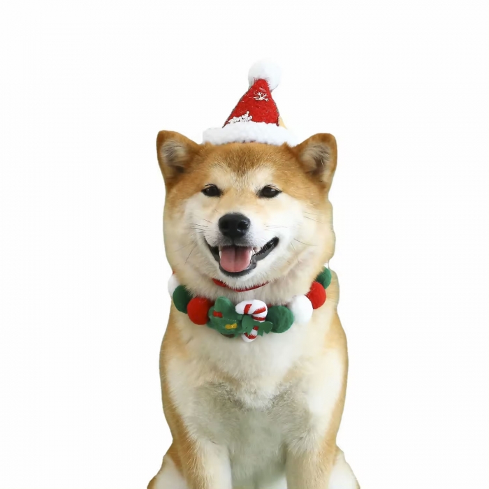 Christmas Pet Gift