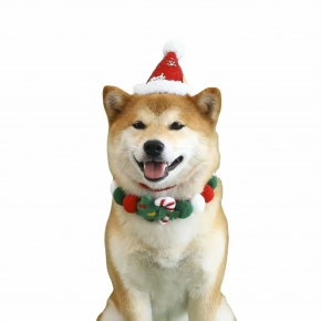 Christmas Pet Gift