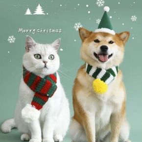 Christmas Pet Gift