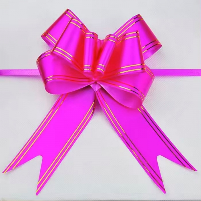 Ribbon Wedding Party Decoration