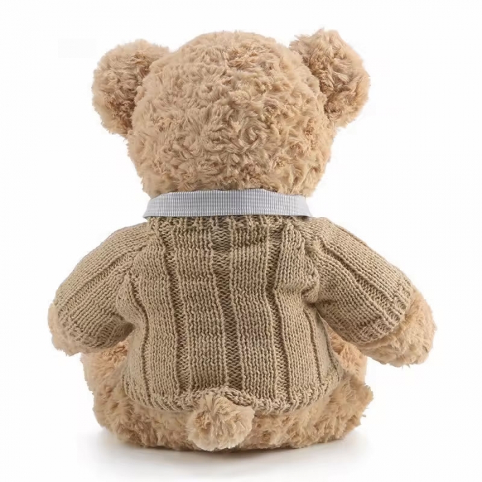 Teddy bear plush toy doll