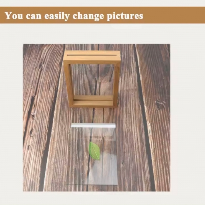 Plant Specimen Double Glass Picture Frame