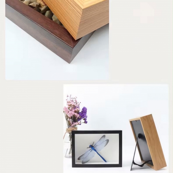 Butterfly Specimen Glass Photo Frame