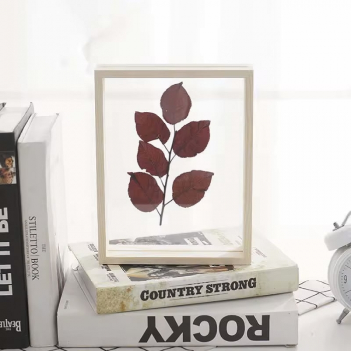 Clear Double Sided  Acrylic Photo Frame