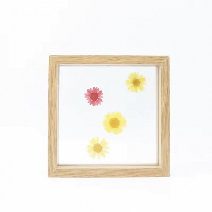 Pressed Flower Floating Frames