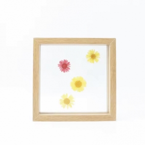 Pressed Flower Floating Frames