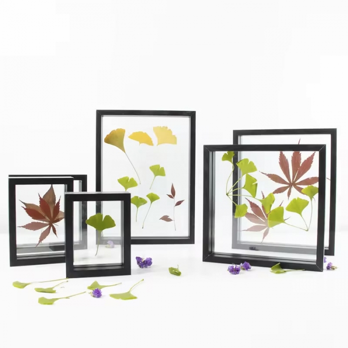 Plant Specimen Double Glass Picture Frame