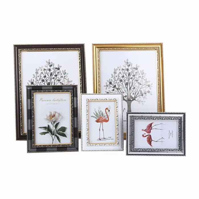 Multi-style Plastic Photo Frame