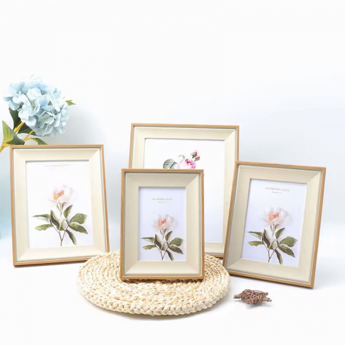 Plastic Photo Frames