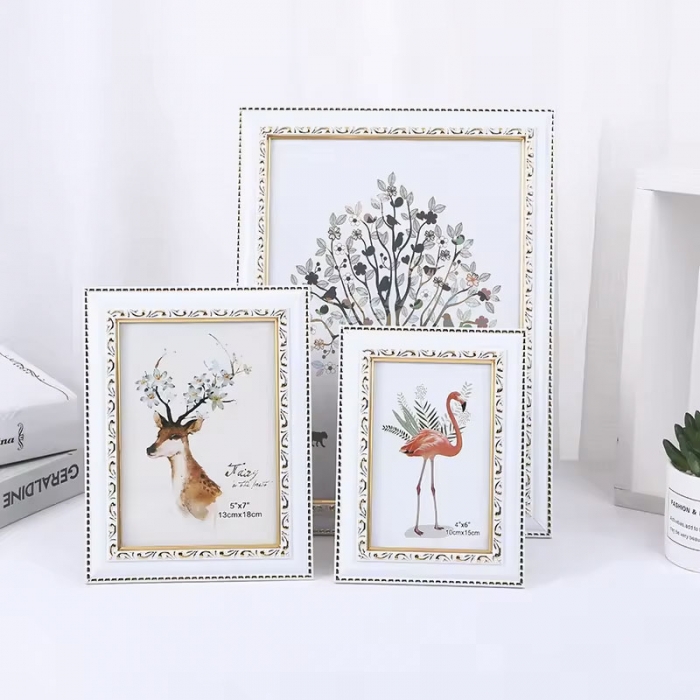Multi-style Plastic Photo Frame