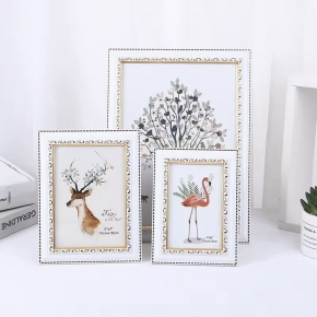 Multi-style Plastic Photo Frame